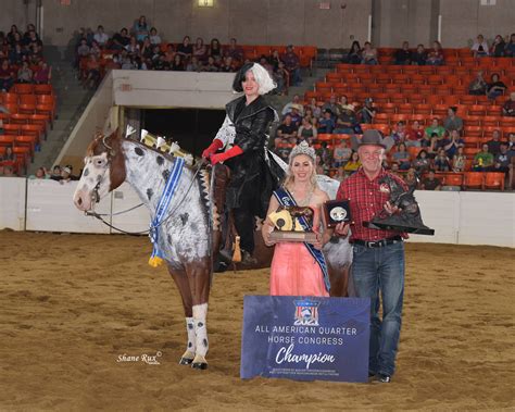 Luke was Reserve Champion in the 2017 All American Quarter Horse Congress Non-Pro Freestyle Reining, and was a Top Three Finalist in the 2018 Congress Open Freestyle Reining. . Quarter horse congress 2022 freestyle reining